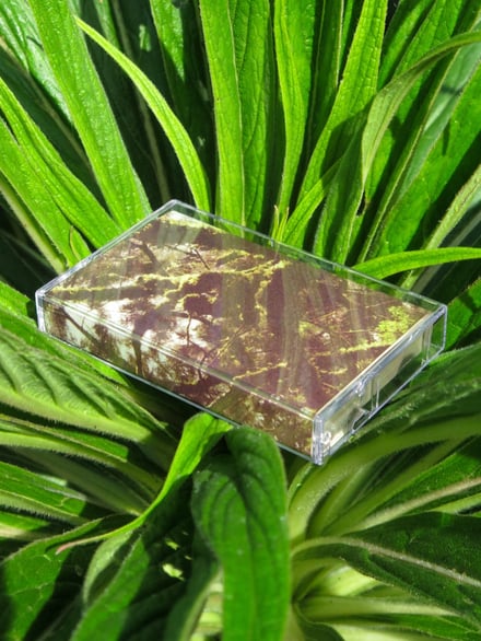 Kodama こだま – koke no ne こけのね cassette