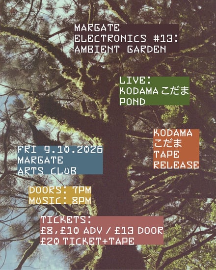Margate Electronics #13: Ambient Garden poster