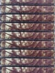 Kodama こだま tape 8