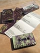 Kodama こだま tape 6
